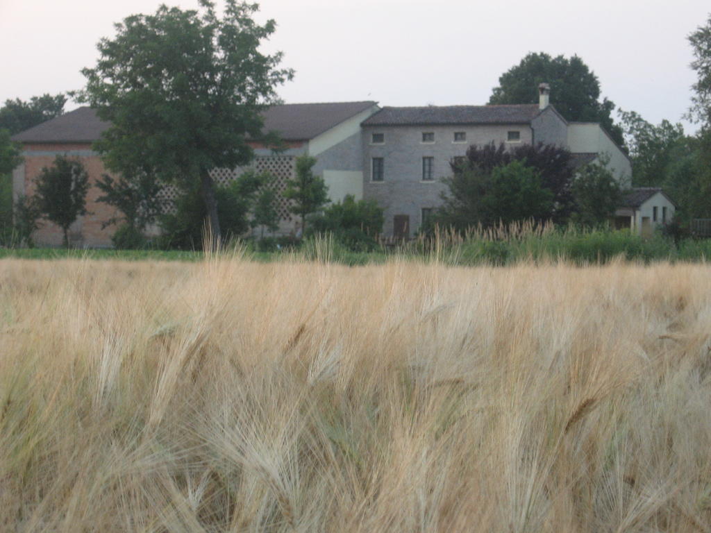 Agriturismo La Rovere Villa Cesole Екстериор снимка